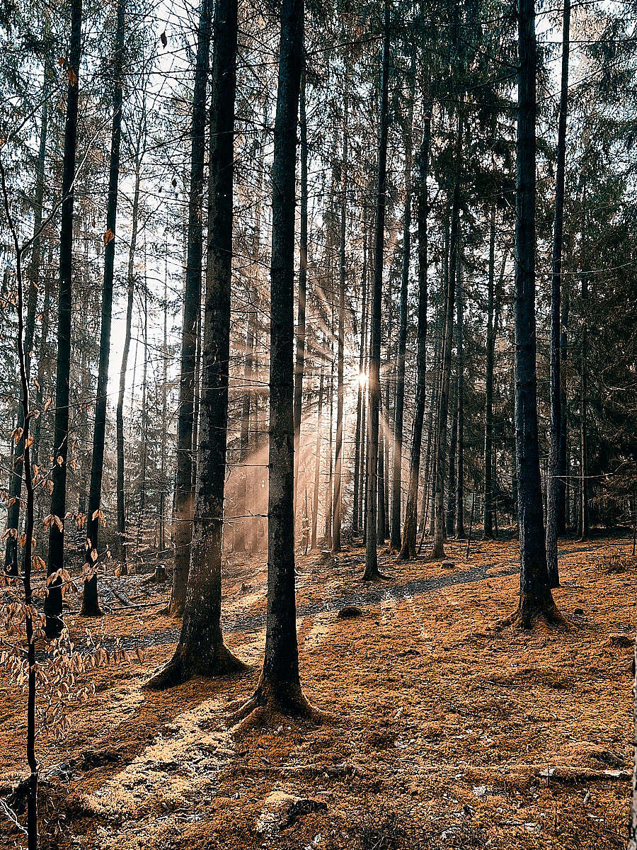 Trauerrednerin Andrea Schmid - Abschiedszeremonie